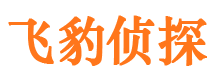 麦盖提侦探公司